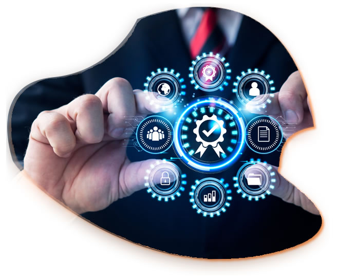 Why choose LuitBiz?
